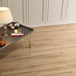 CONCEPT NEO