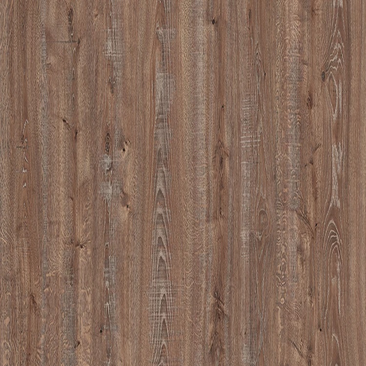 FORESTA XLarge