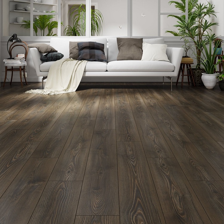 Palmira 6000